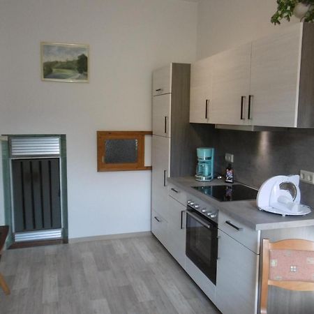 Ferienwohnung Rauscher Алтенберг Източен Ерцгебирге Екстериор снимка